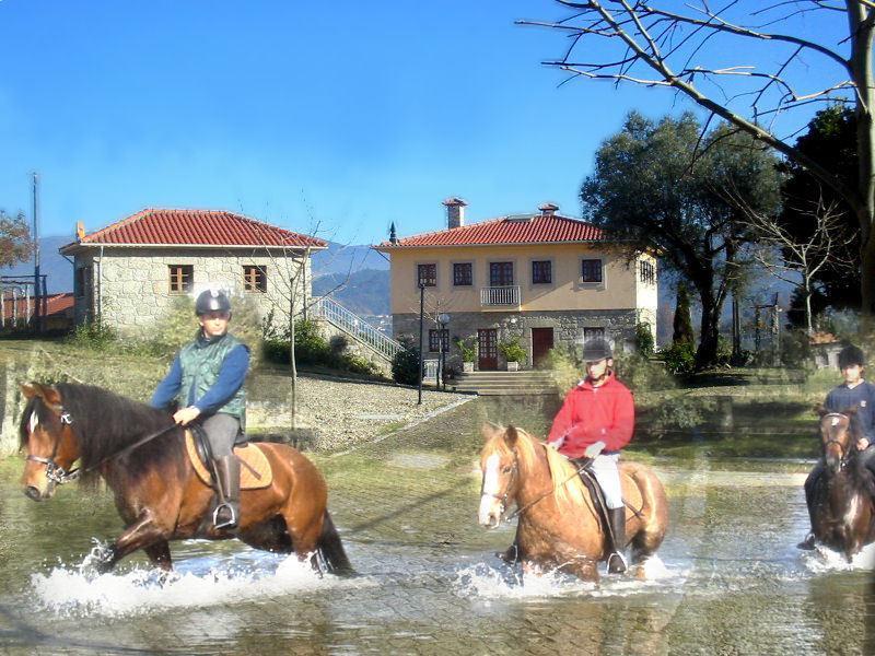 Quinta Do Fijo Farm stay *